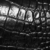 Black Crocodile